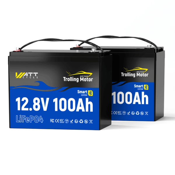 2 pack WattCycle 12V 100Ah Deep Cycle Trolling Motor Battery with Bluetooth