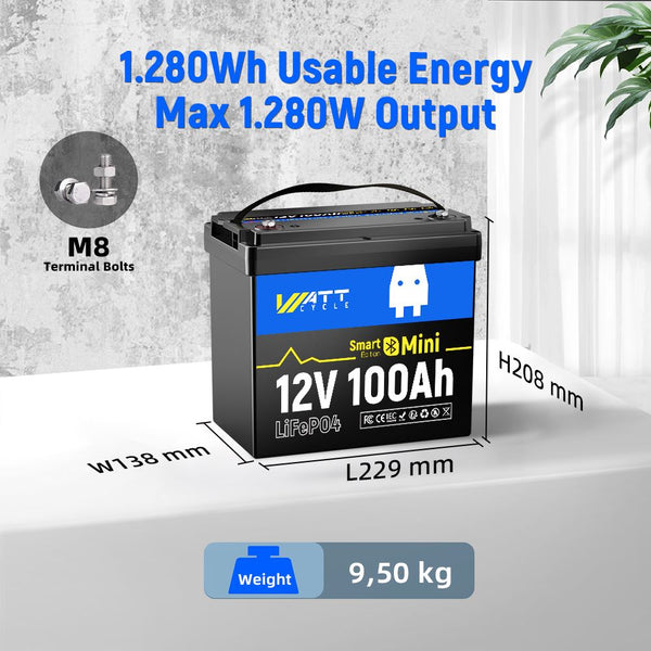 Dimensions of WattCycle 12V 100Ah Mini Bluetooth LiFePO4 Battery