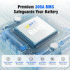 Premium 300A BMS of WattCycle 24V 314Ah Ultra LiFePO4 Battery with Bluetooth