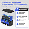 WattCycle 12V 200Ah LiFePO4 Deep Cycle Lithium Battery with EV grade-A LiFePO4 cells and 200A BMS