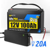 WattCycle 12V 100Ah Pro LiFePO4 Battery with 12V 20A Plastic Shell LiFePO4 Charger