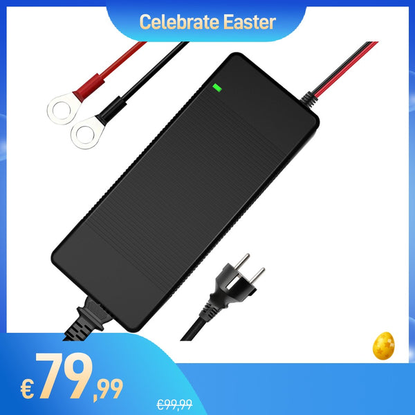 【🐣 Oferta de Pascua】Cargador de baterías WattCycle de 14,6 V y 20 A AC-DC LiFePO4 con carcasa de plástico