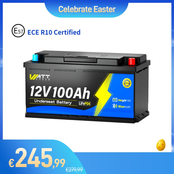 【⚡ Pre-Order Price】WattCycle 12V 100Ah Camper Leisure Battery with Bluetooth | DIN H8, ECE R10 Certified