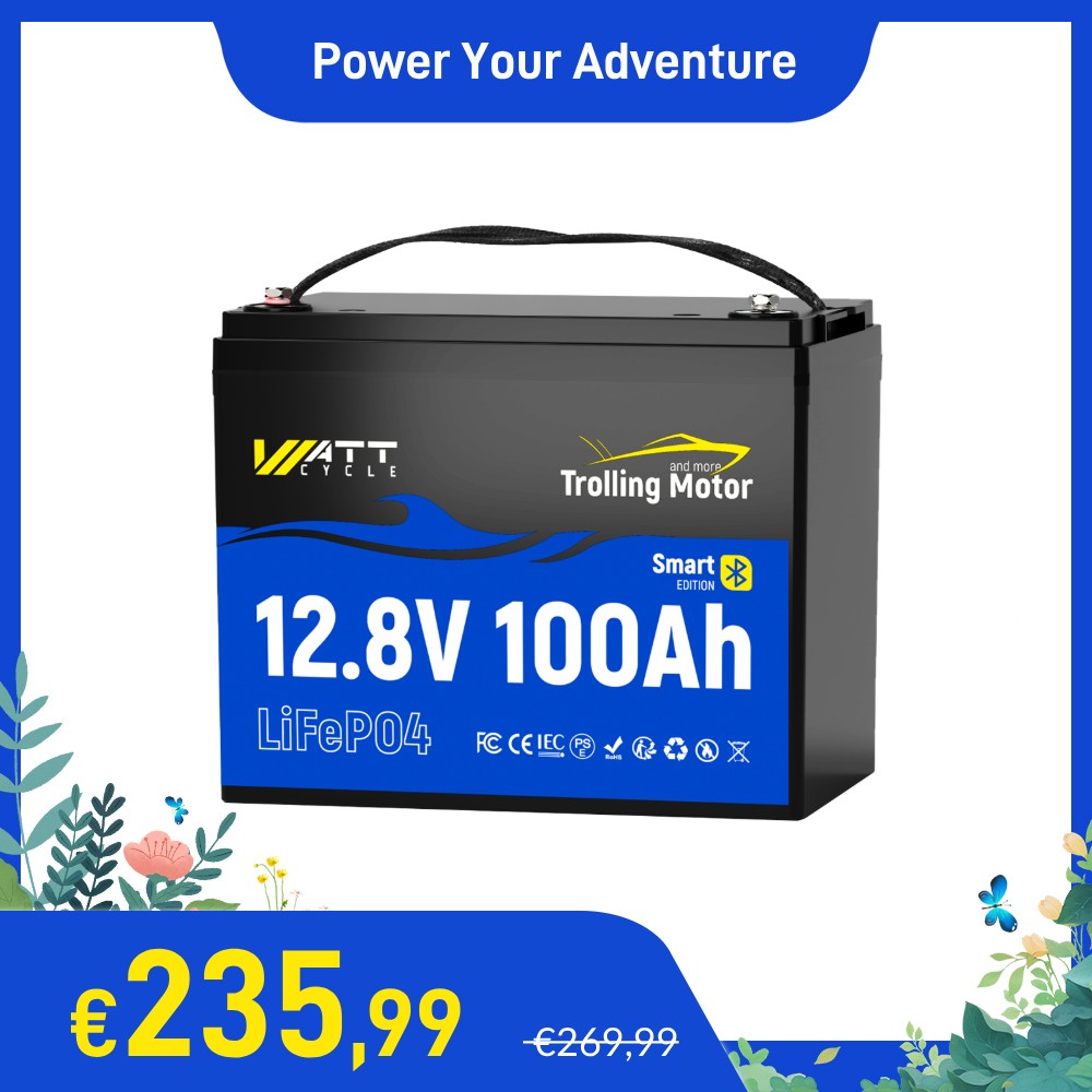EcoFlow 12V 100Ah LiFePO4 Lithium Deep Cycle Battery With BMS - Perfect For RVs, Solar, Trolling Motors
