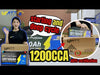 Unleashing the Power! 💥 ABYC-Certified WattCycle 1200CCA Marine Cranking Battery Test