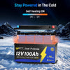self heating function of WattCycle 12V 100Ah Dual Purpose Marine Battery with Bluetooth