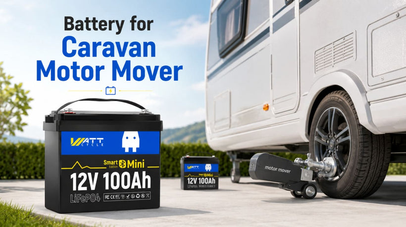 Buy LiFePO4 Battery for Motor Mover