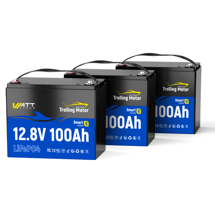 3 pack WattCycle 12V 100Ah Deep Cycle Trolling Motor Battery with Bluetooth