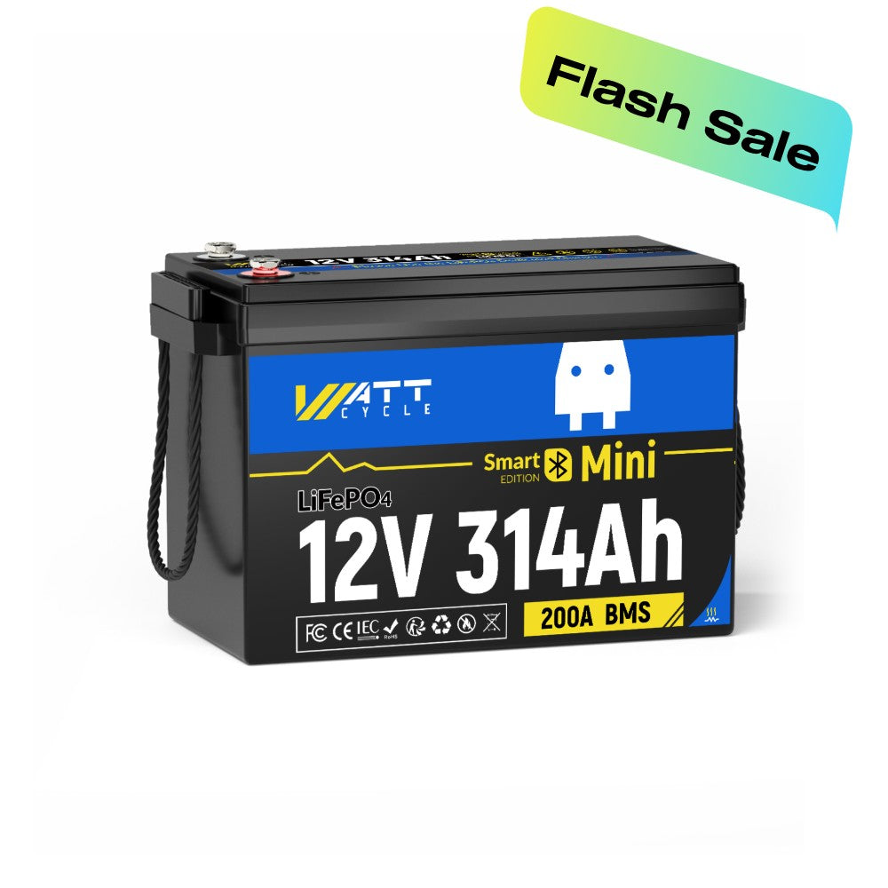 12V 314Ah Mini Bluetooth with Self-heating