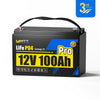 【👑 3rd Anniversary】WattCycle 12V 100Ah Pro Lithium Leisure Battery with 110A BMS