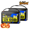 【👻 Halloween Treats】WattCycle 12V 100Ah Pro LiFePO4 Leisure Battery with 110A BMS