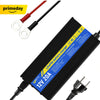 WattCycle 14.6V 20A AC-DC LiFePO4 Battery Charger with Aluminum Shell - Prime Big Deal Days