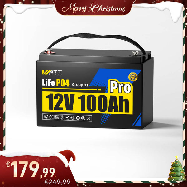 【🎄 [Kerstaanbieding] WattCycle 12V 100Ah Pro Lithium Vrijetijdsaccu met 110A BMS