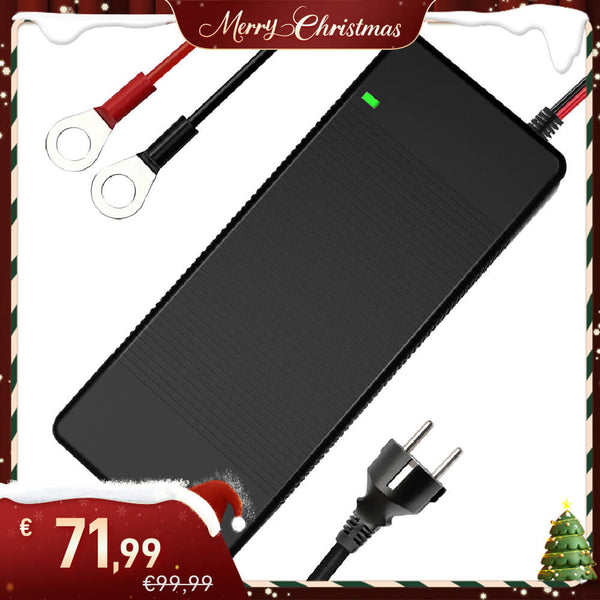 WattCycle Christmas Sale - 14.6V 20A AC-DC LiFePO4 Battery Charger with Plastic Shell.jpg__PID:4f8687d6-c4ed-4aea-aafb-f1beeeab3c0d