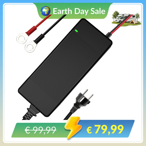 【🌍 [Aanbieding ter gelegenheid van Earth Day] WattCycle 14,6V 20A AC-DC LiFePO4 acculader met kunststof behuizing