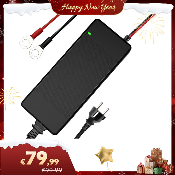 【🎇 Saldi di Capodanno】Caricabatterie per batterie LiFePO4 WattCycle 14,6 V 20 A AC-DC con involucro in plastica