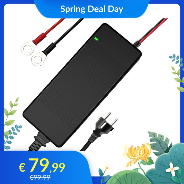 【⚡ Forsalg】WattCycle 14.6V 20A AC-DC LiFePO4 batterioplader med plastikskal